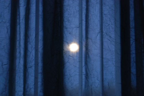 Moonlit Curtain